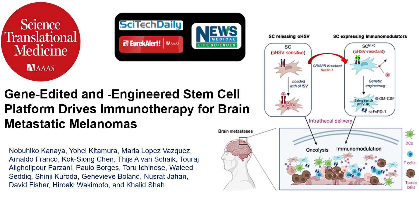 Science Translational Medicine figure: gene-edited stem cells releasing oncolytic herpes virus and immunomodulators are delivered intrathecally to brain metastases, driving oncolysis and immune activation.