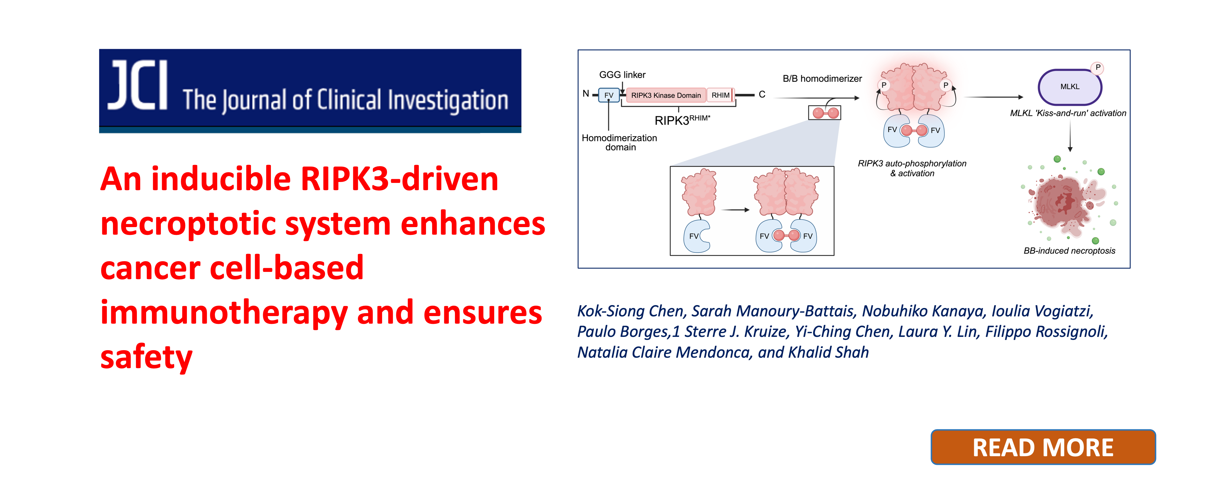 Journal of Clinical Investigation figure: an inducible RIPK3-driven necroptotic system that enhances cancer cell-based immunotherapy and acts as a safety switch.